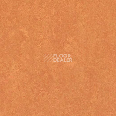Линолеум Forbo Marmoleum Decibel on Order 382535 African desert фото 1 | FLOORDEALER